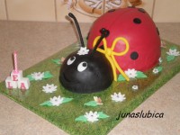 /album/fotogaleria-3d/p4301162-640x480-jpg/